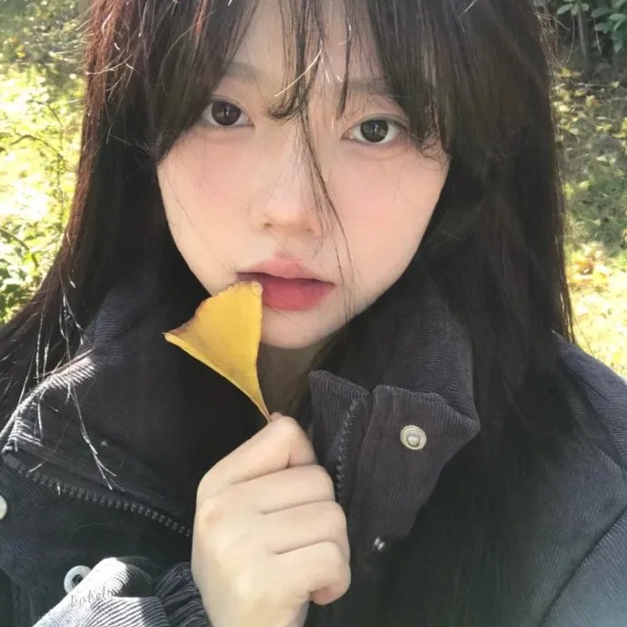 虚无边境